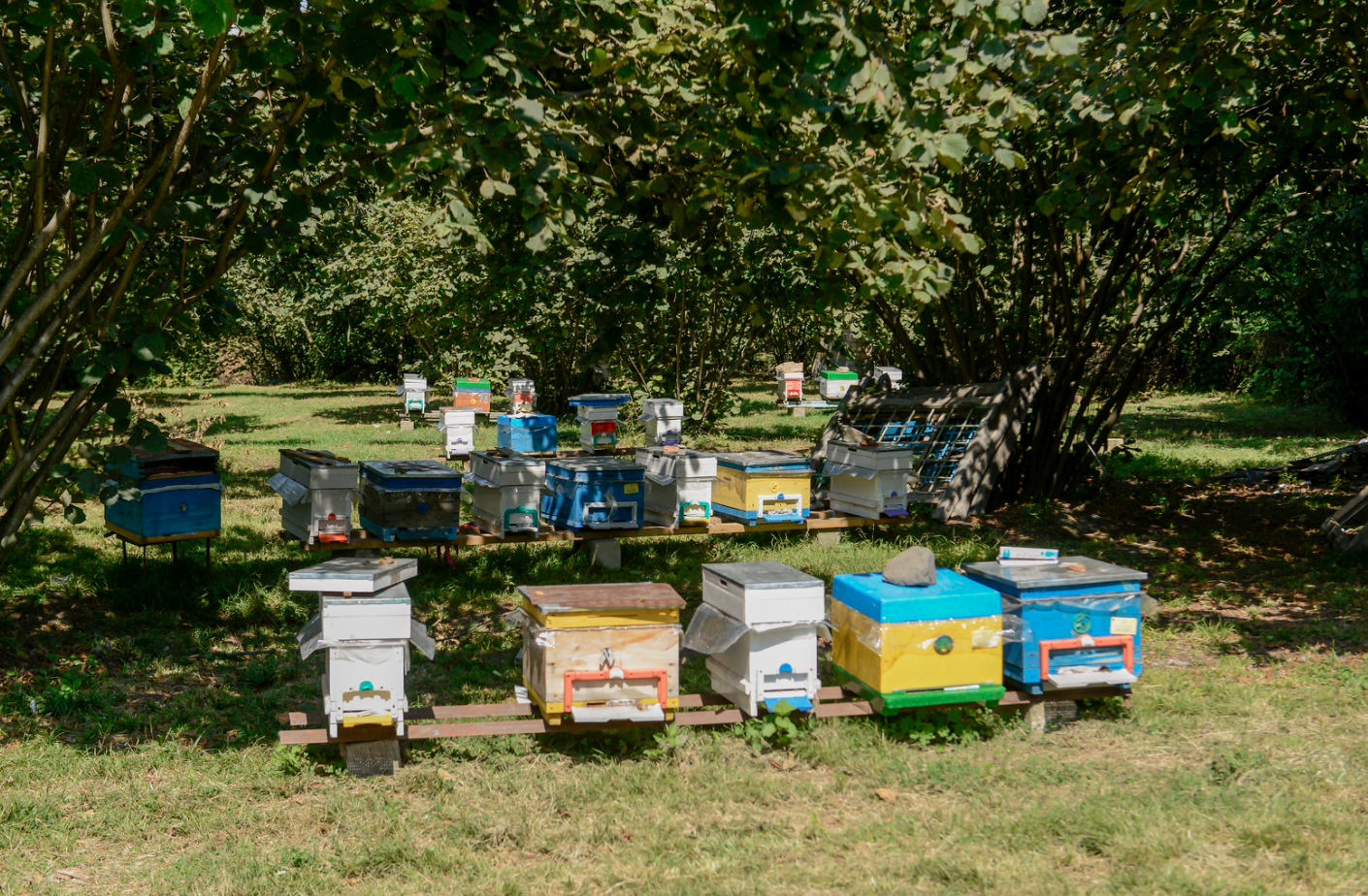 Photo: European Union