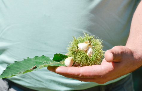 Photo: European Union